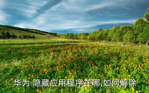  华为 隐藏应用程序在哪,如何解除