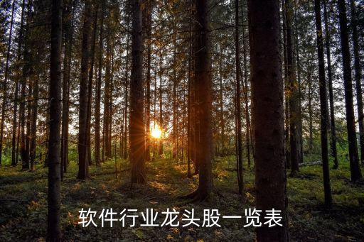 系统软件股票,在线的crm系统软件