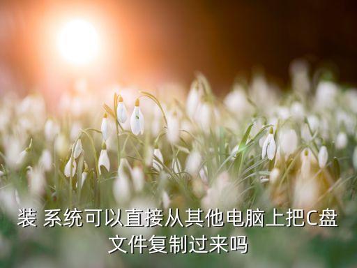 装 系统可以直接从其他电脑上把C盘文件复制过来吗