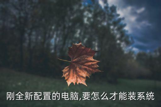 新装机无法安装系统软件,什么装机系统软件最纯净