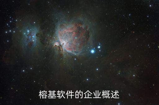 榕基软件的企业概述