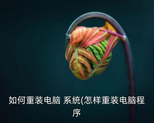 xp系统怎样重做系统软件