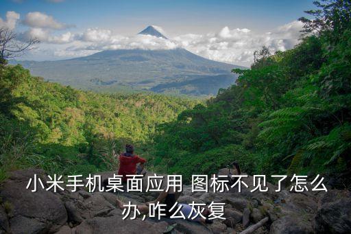  小米手机桌面应用 图标不见了怎么办,咋么灰复