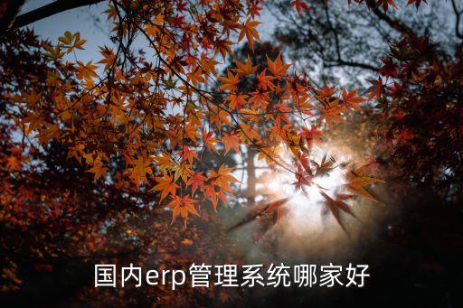 国内erp管理系统哪家好
