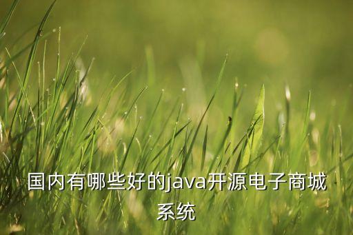 国内有哪些好的java开源电子商城系统