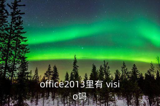 office2013里有 visio吗